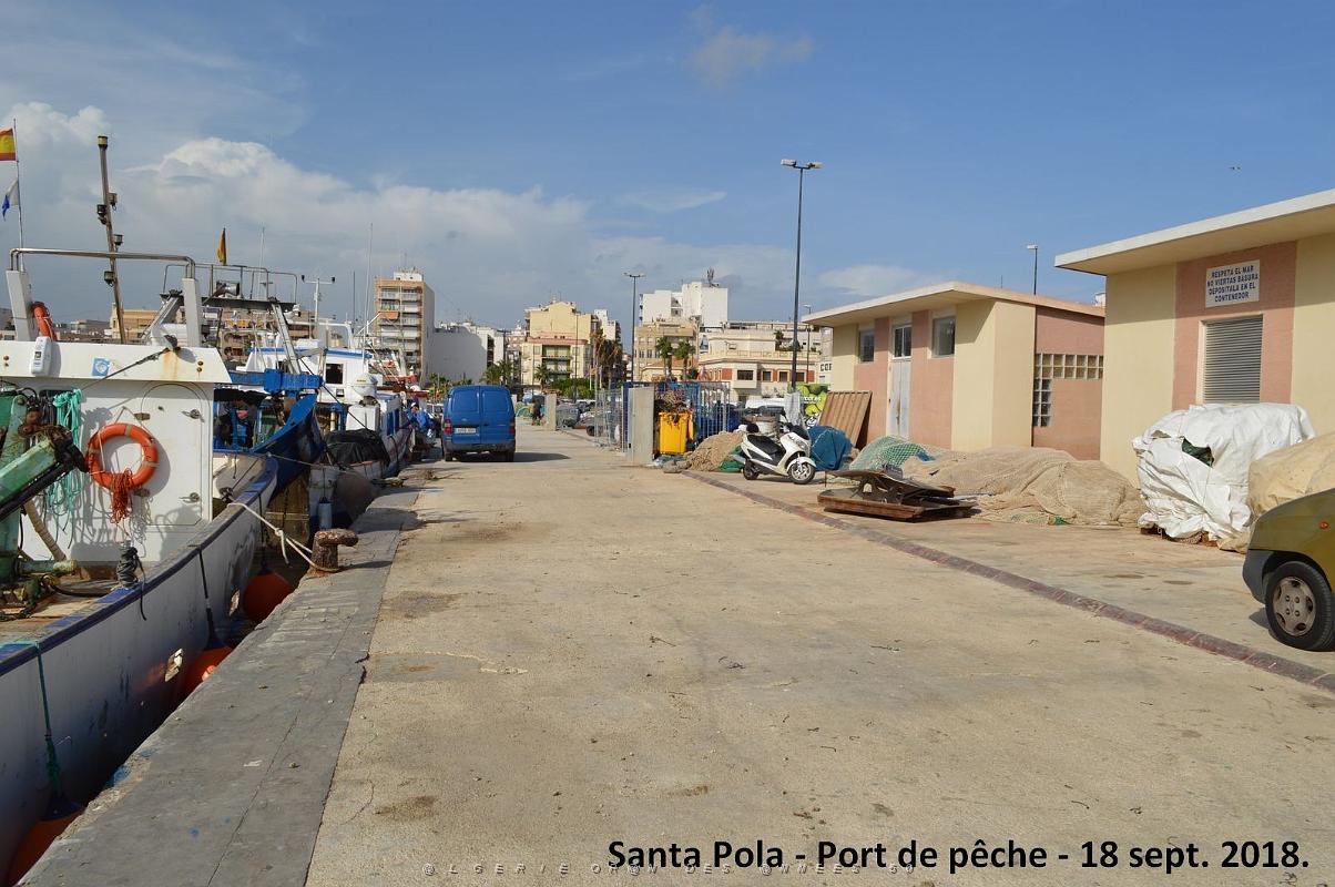 11 SANTA POLA PORT DE PECHE (44).JPG